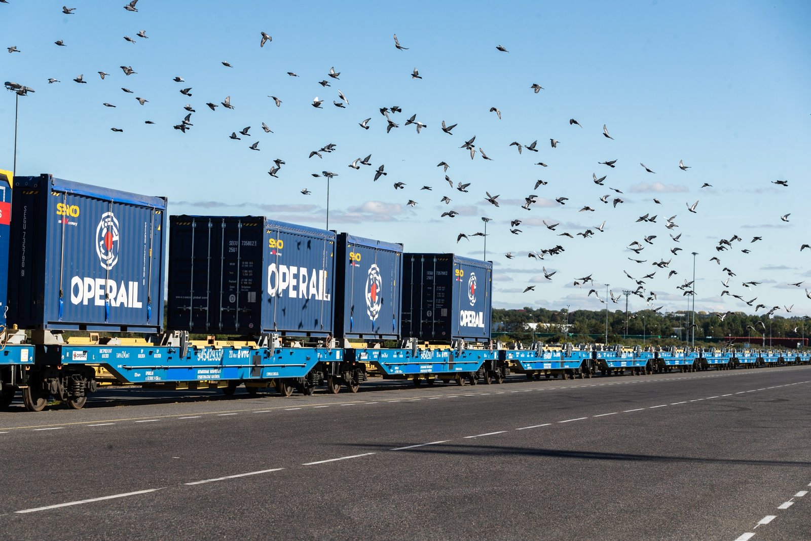 Sanktsioonide tõttu vähenes Operaili kaubamaht poole võrra